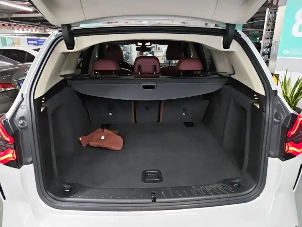 BMW iX3 2021 2022 Leading Edition