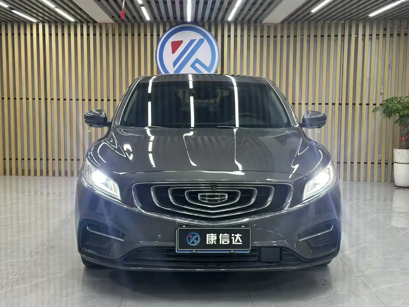 Фото 2 - Geely Borui