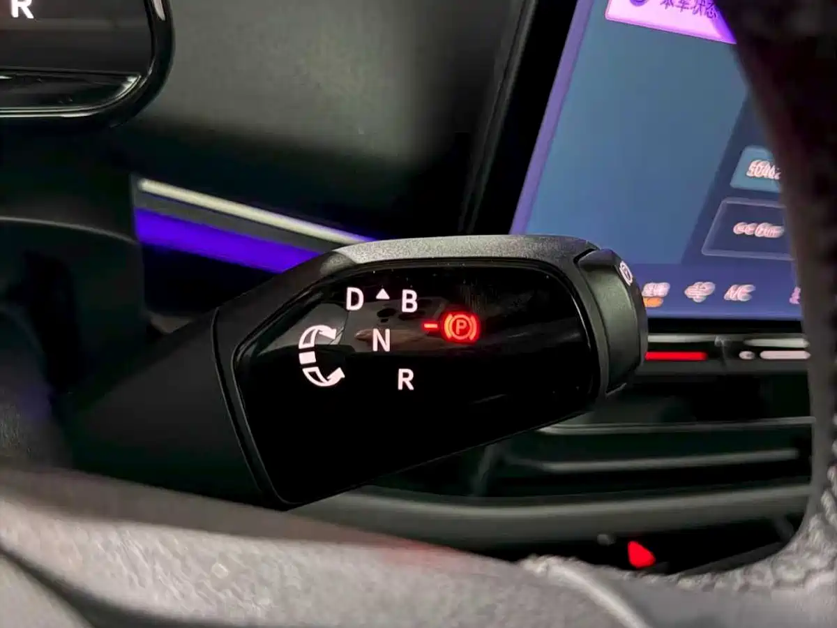 VOLKSWAGEN WITH THE CROWD 06