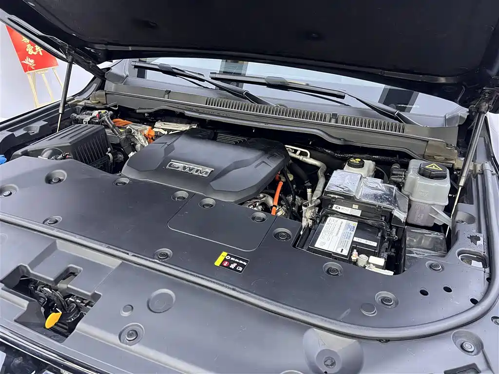 Tank 500 EV 2023 Hi4-T фото 12