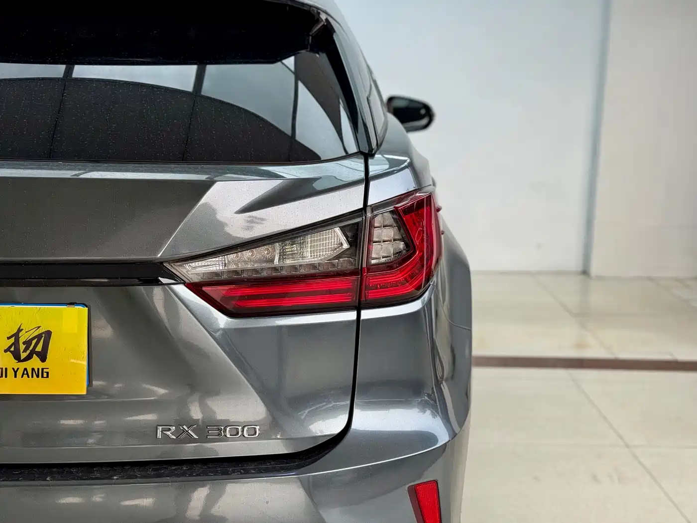 Lexus RX 2016 300 AWD F SPORT Edition China V фото 24