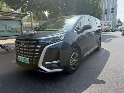 Denza D9