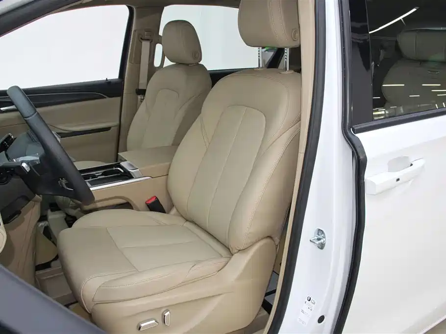 Buick GL8 2025 Land Business Class Comfort DG Edition фото 22