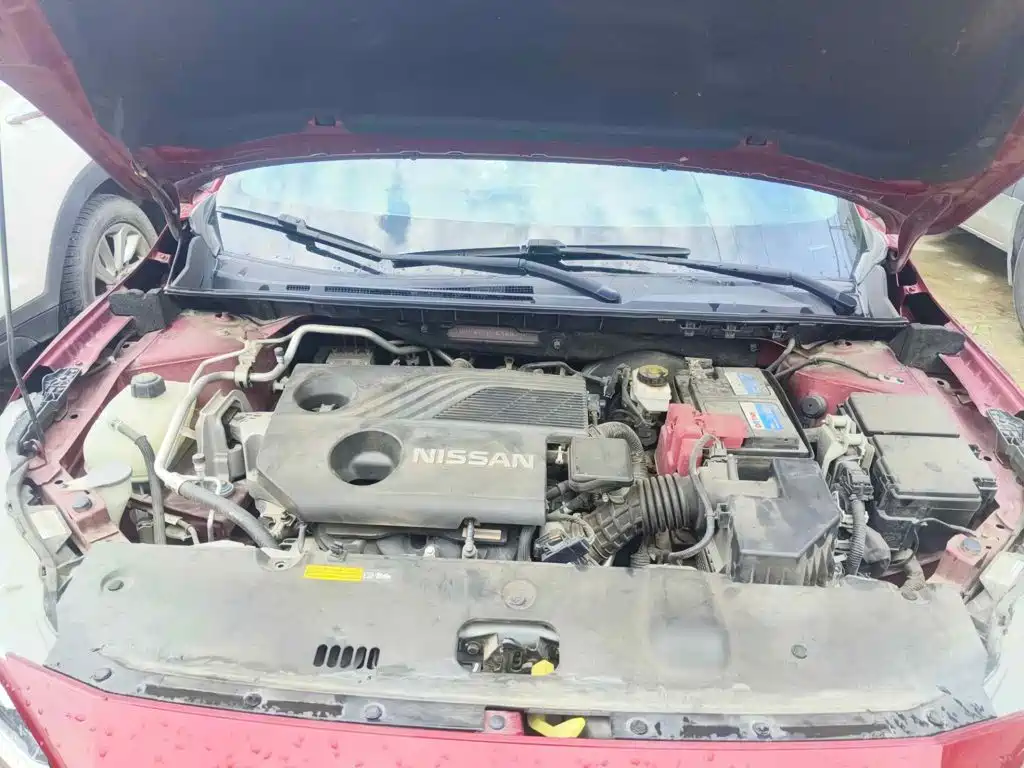 Фото 3 - Nissan Sylphy
