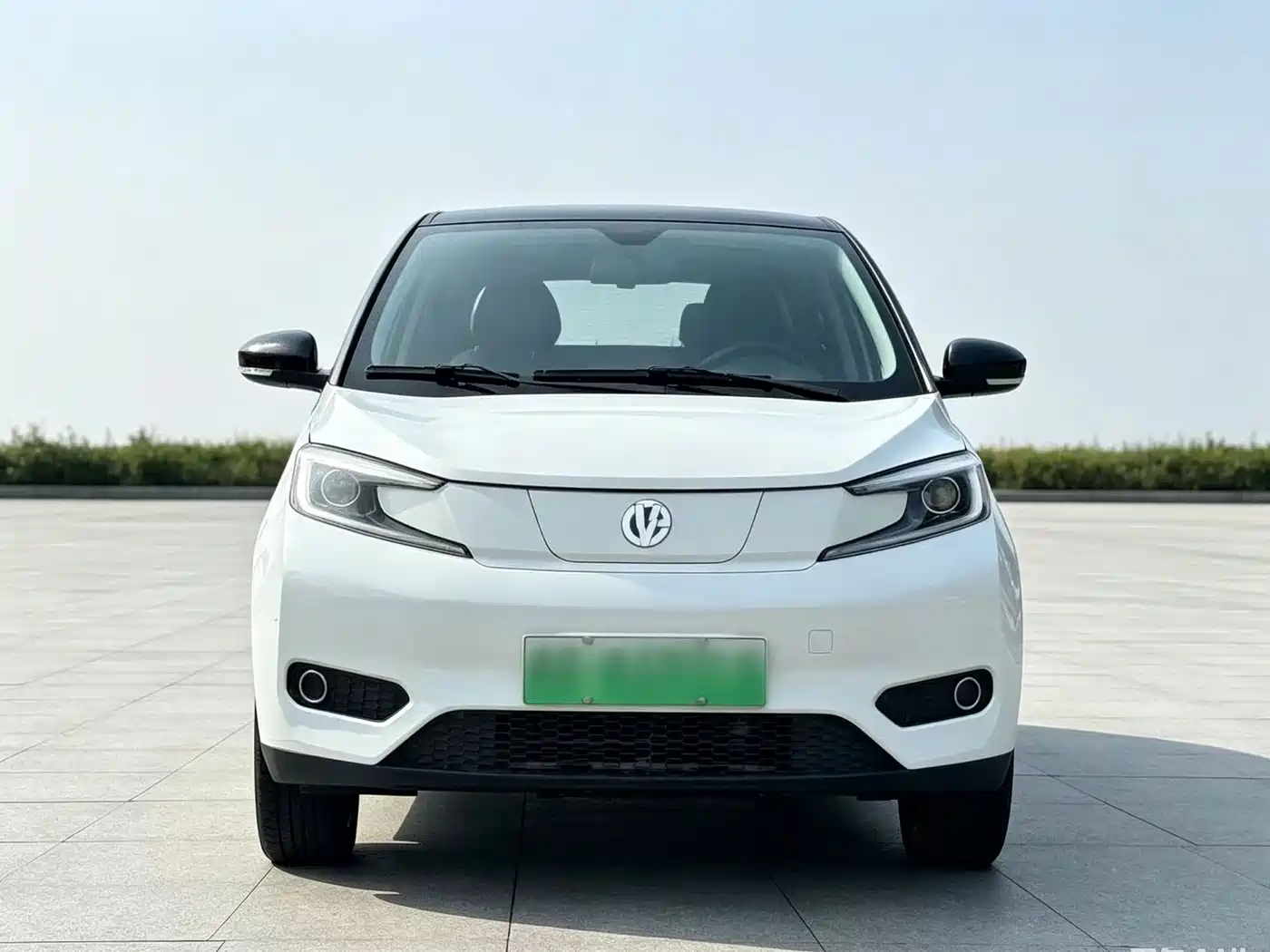 Electric House YOUNG Guang Xiaoxin 2022 2021 L400 4-Seater