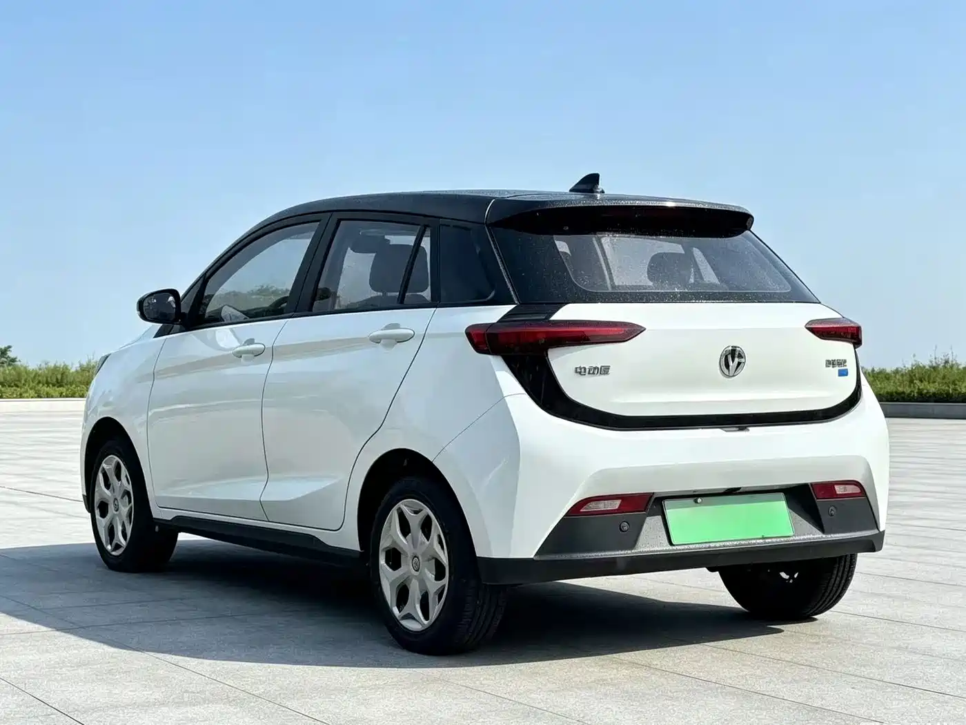 Electric House YOUNG Guang Xiaoxin 2022 2021 L400 4-Seater