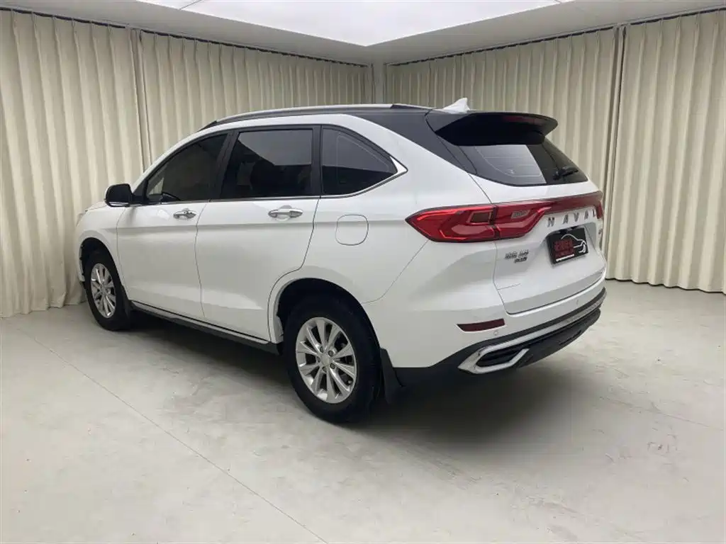 Фото 4 - Haval M6