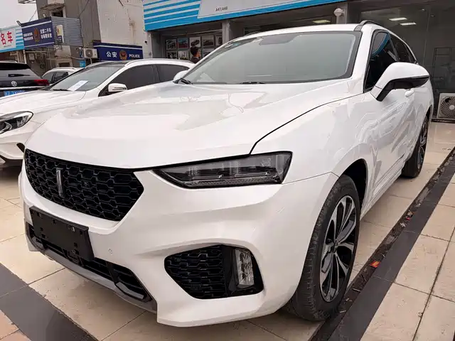 WEI PAI WEI BRAND VV7