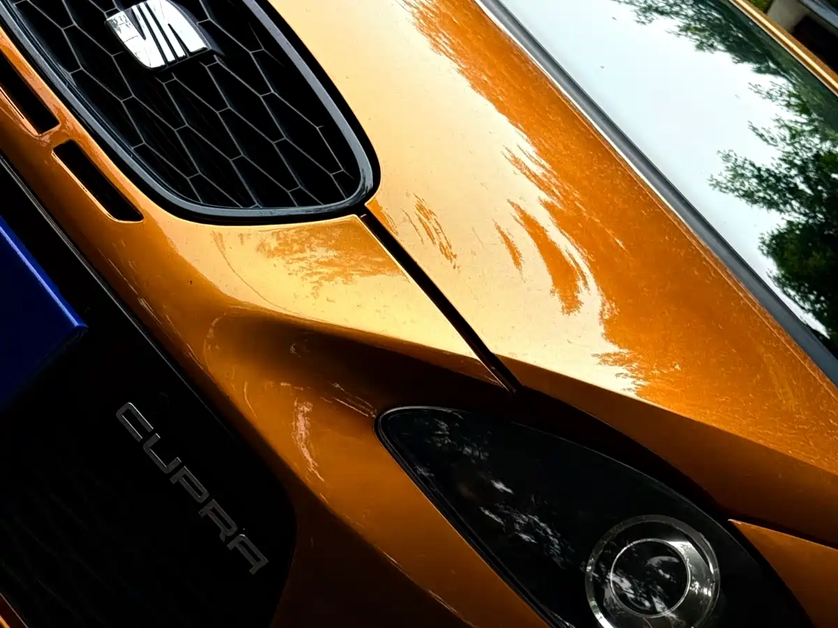 SEAT LEON 2012 2.0TSI CUPRA фото 5