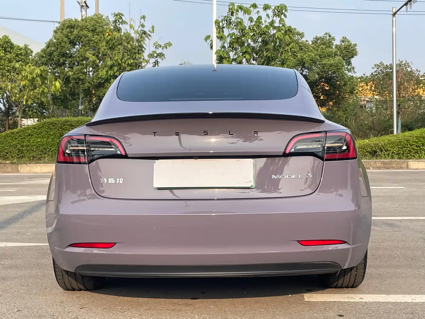 TESLA MODEL 3
