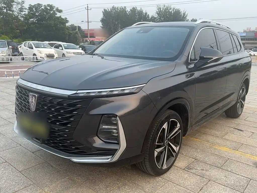 Roewe RX5 MAX 2022 2022 1.5T Auto Promising Premium Edition
