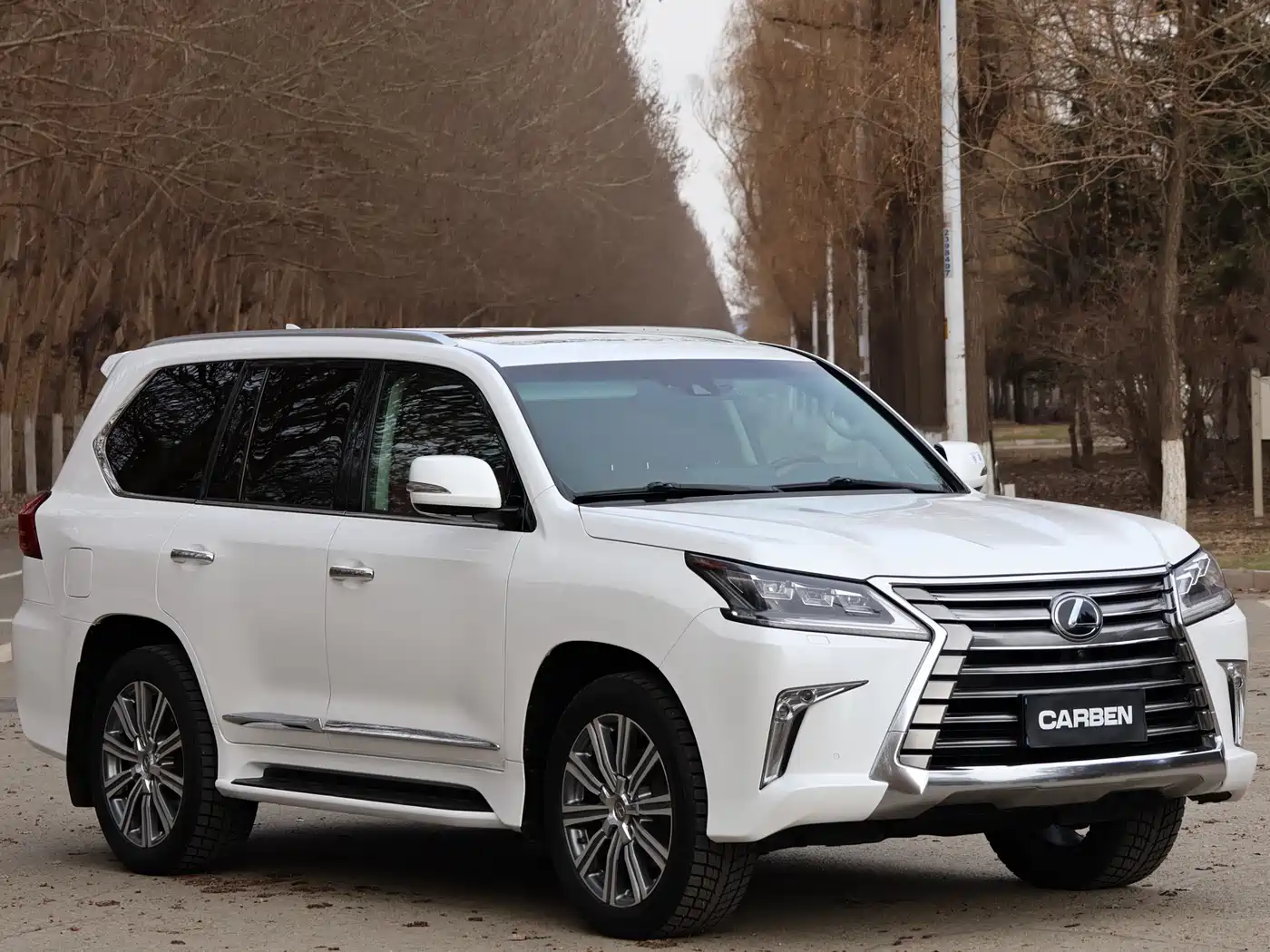 Lexus LX 2016 570 Luxury Premium Edition фото 3