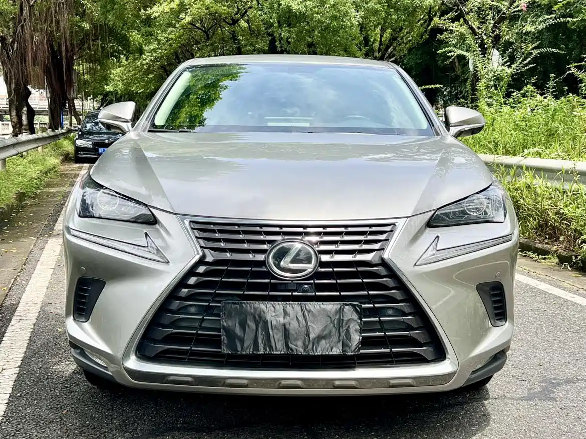 Фото 2 - Lexus NX