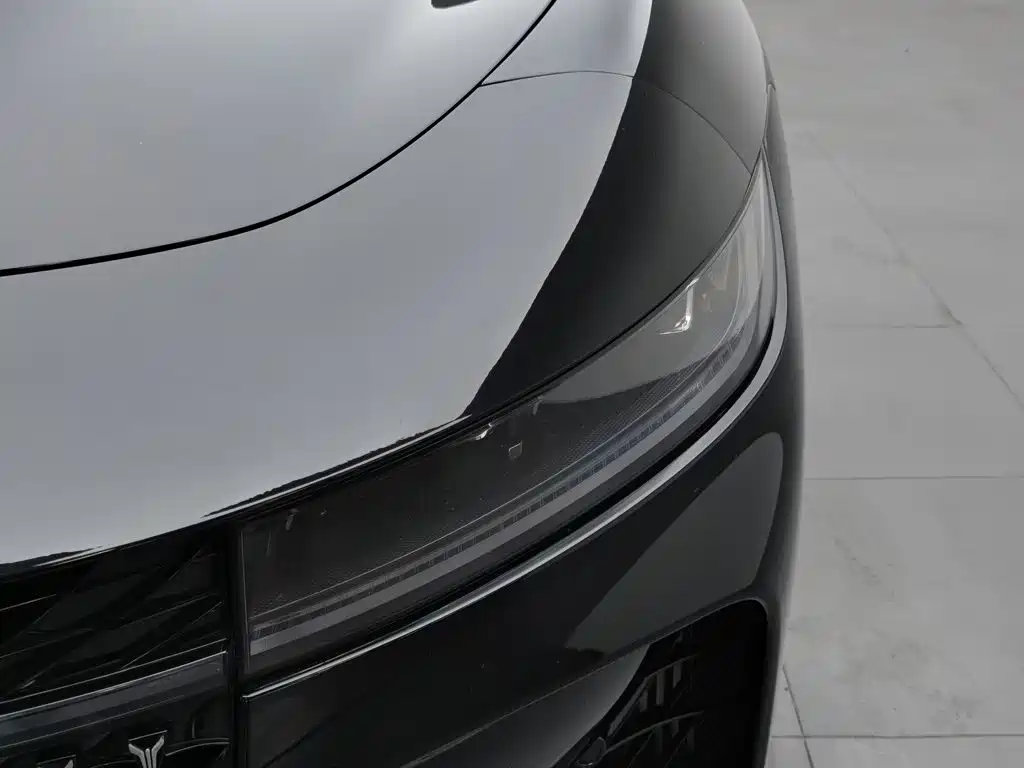 Voyah Passion 2025 2024 PHEV AWD Ultra-long Range Executive Edition