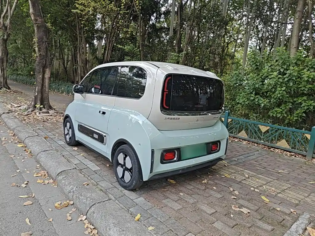 Baojun KiWi EV 2022 2023 DJI Edition LFP