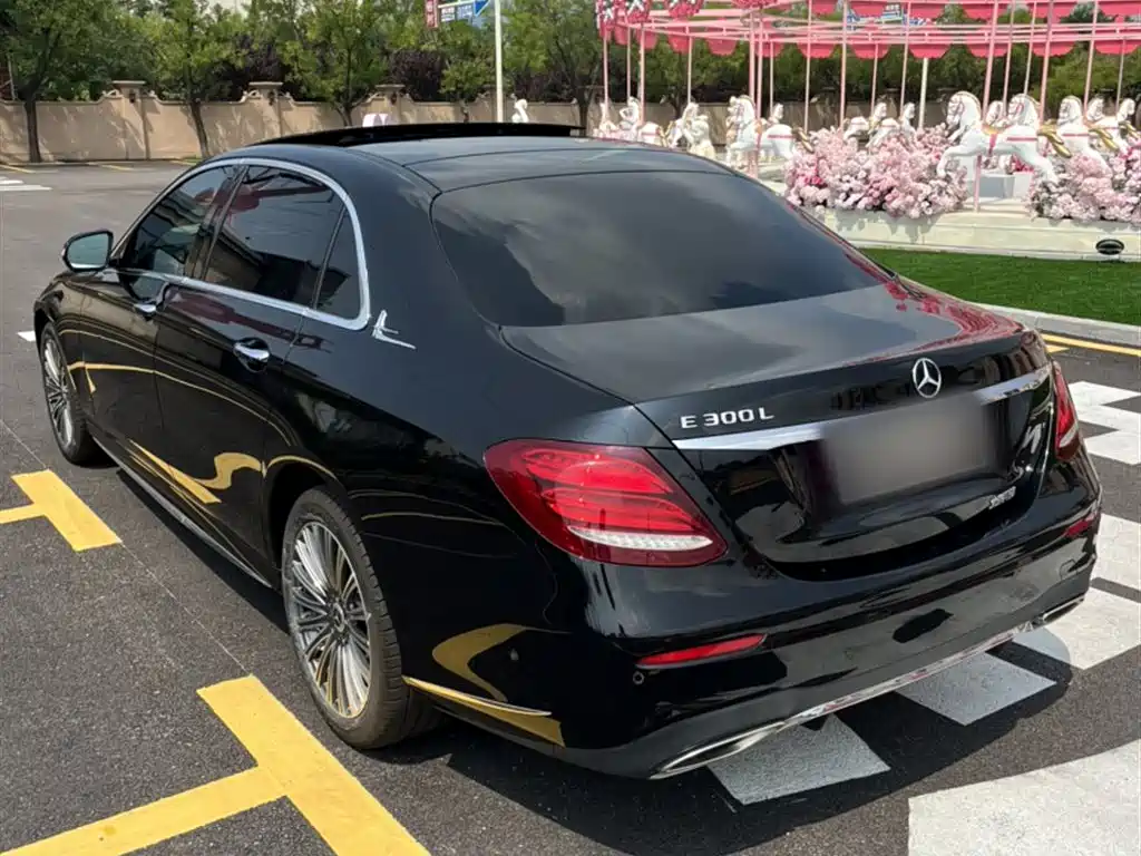 Mercedes-Benz E-Class 2019 E 300 L Sport Fashion фото 9