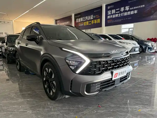 KIA LION PLATINUM EXPANDS THE WORLD