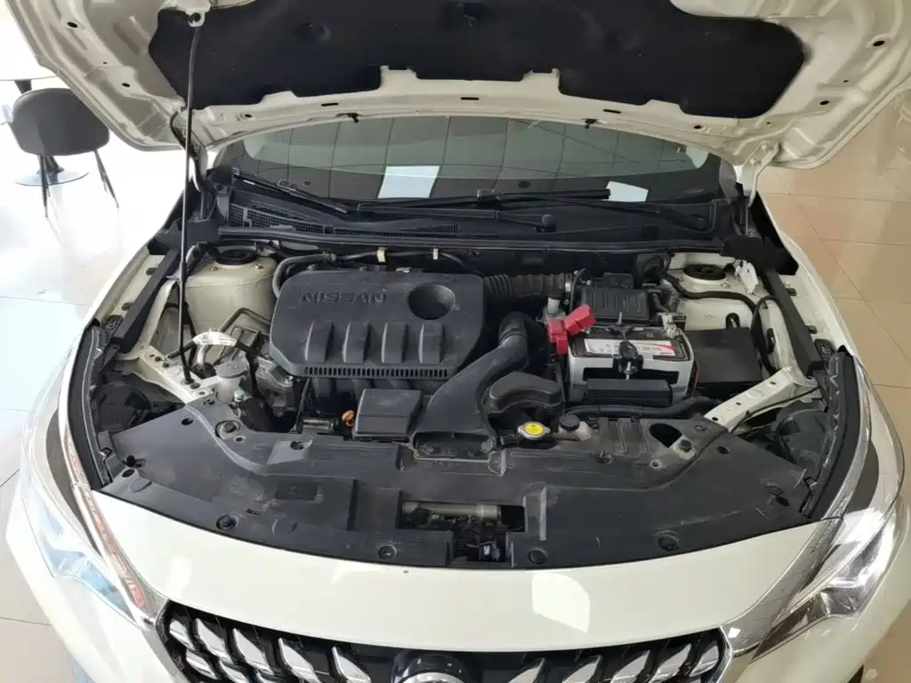Venucia D60 2021 2020 1.6L XL CVT Delight Edition