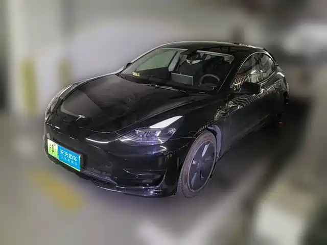 Tesla Model 3 2022 Model Rear-Wheel Drive Version — фото 1