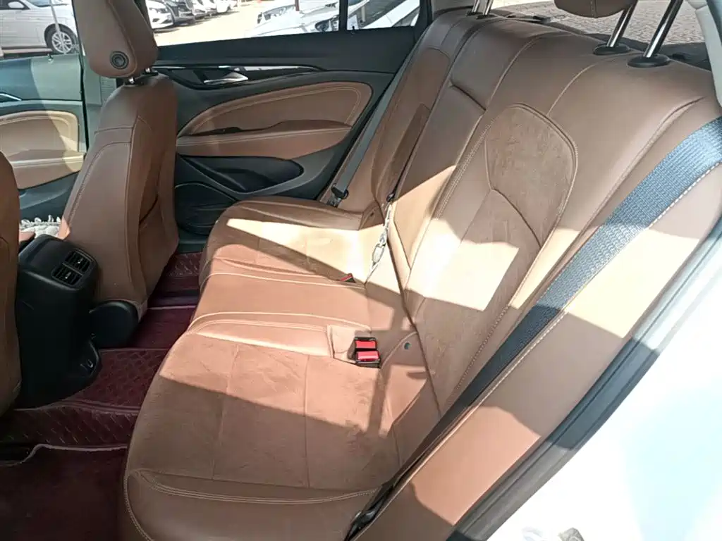 Buick Regal 2017 20T Elite Type фото 17