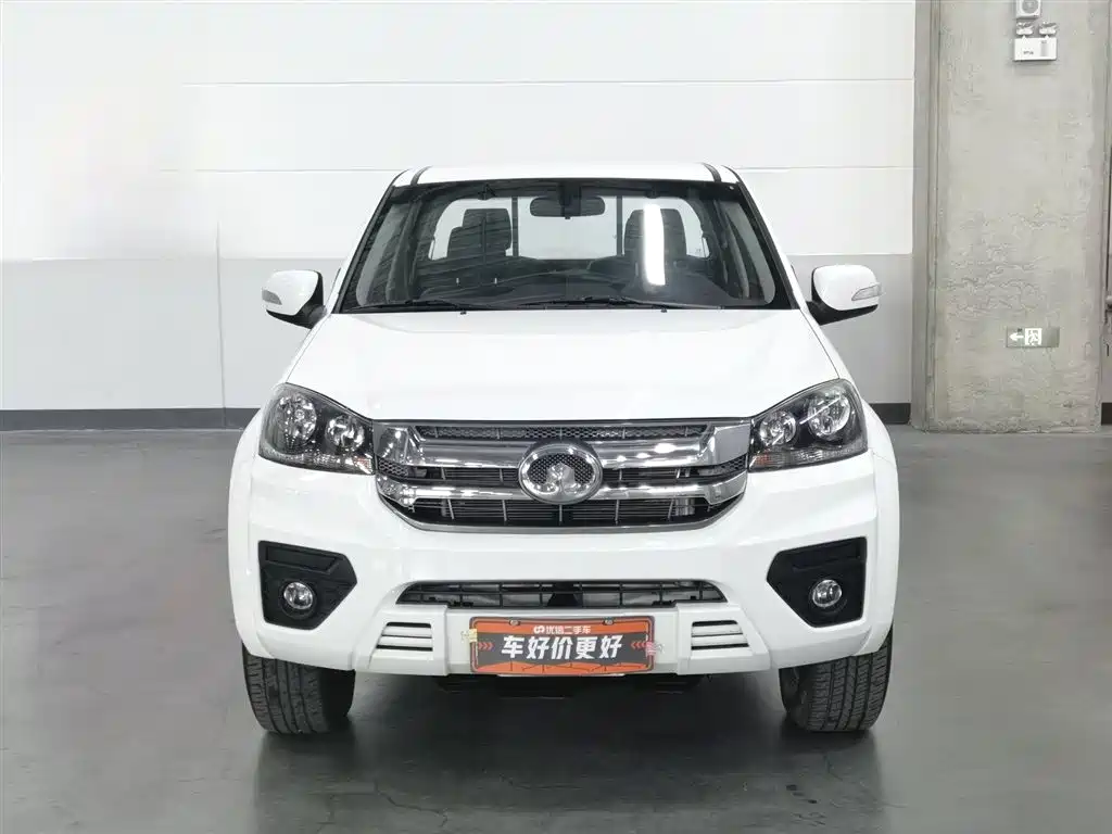 GREAT WALL FENGJUN 5