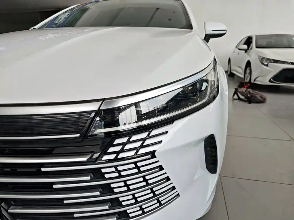 BYD Destroyer 05 2024 2024 Glory Edition DM-i 55KM Luxury