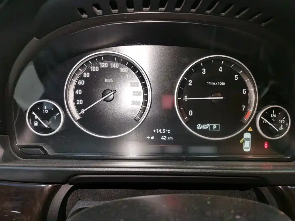 BMW 5 Series 2014 525Li Leading фото 8