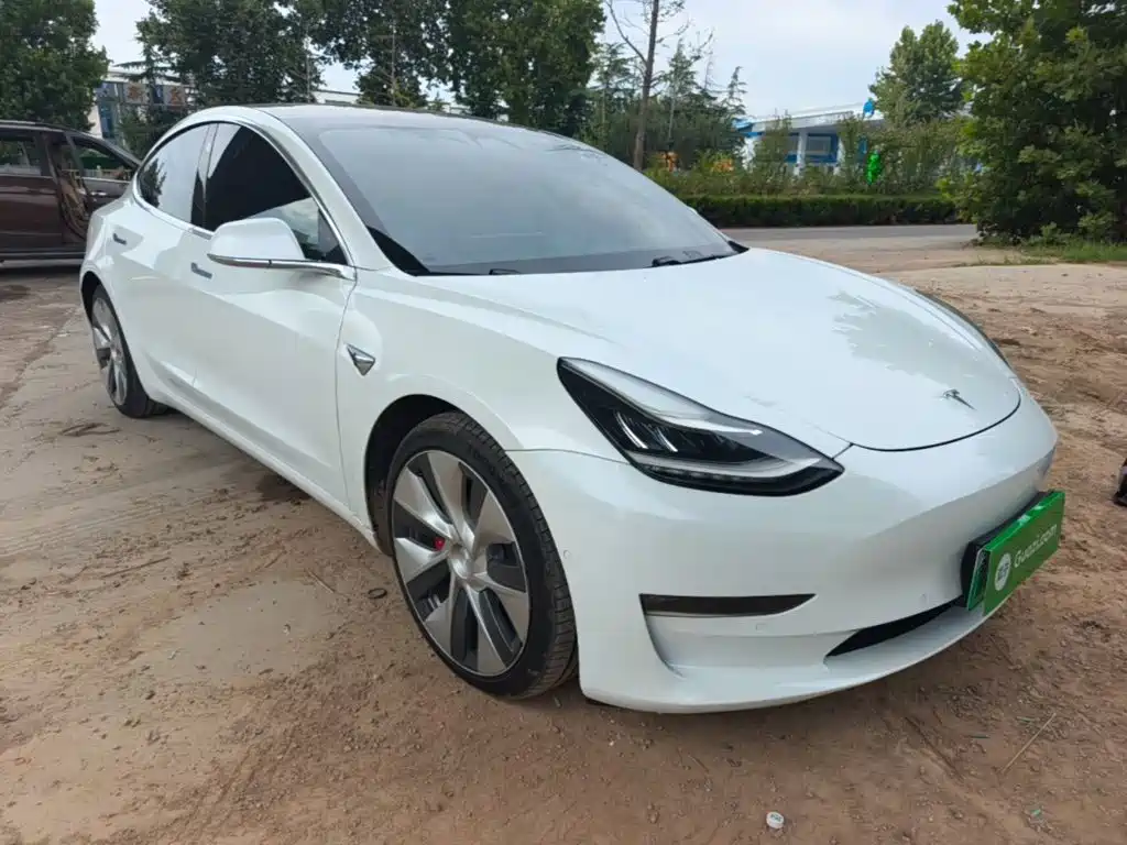 Tesla Model 3 (Import) 2019 2019 Performance High-Efficiency All-Wheel Drive Version