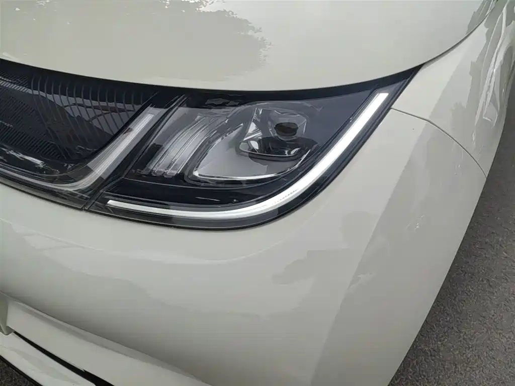 BYD Dolphin 2024 Glory Edition 420km Fashion Edition фото 24