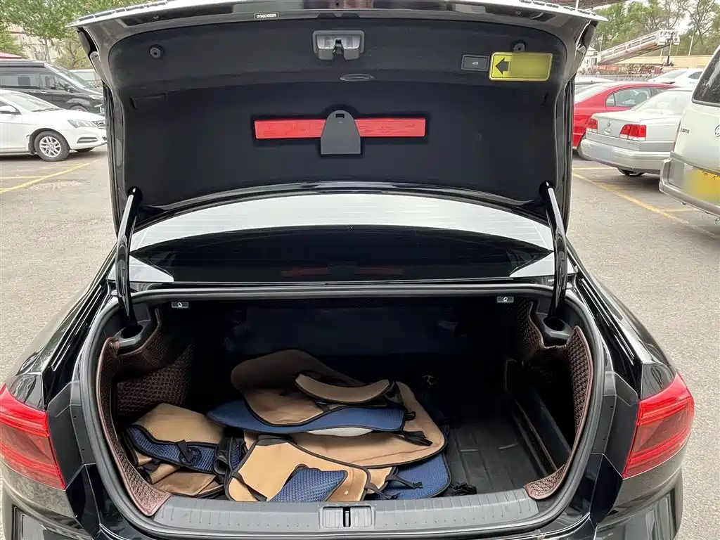 Volkswagen Magotan 2020 330TSI DSG Luxury фото 12