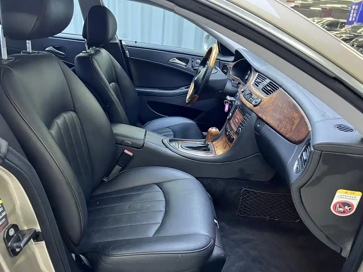 Mercedes-Benz CLS 2009 CLS 300 фото 13
