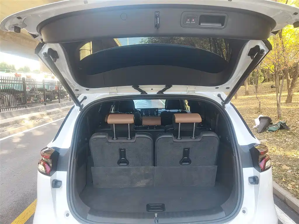 BYD Tang New Energy 2021 DM-i 112KM Honor фото 10