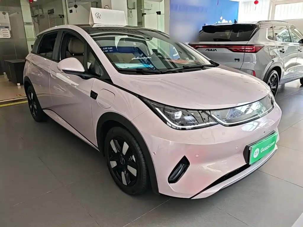 BYD Dolphin 2025 2025 Smart Drive Edition 410km Fashion Version