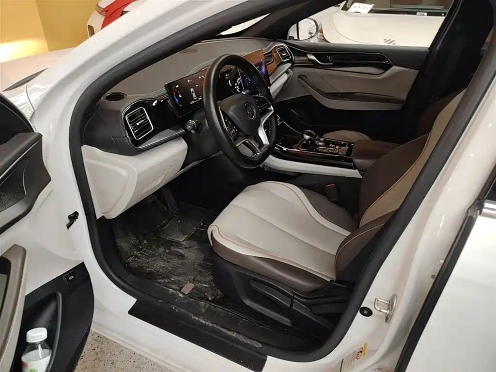 BYD Qin PLUS 2023 Champion Edition EV 510KM Leading Type фото 15