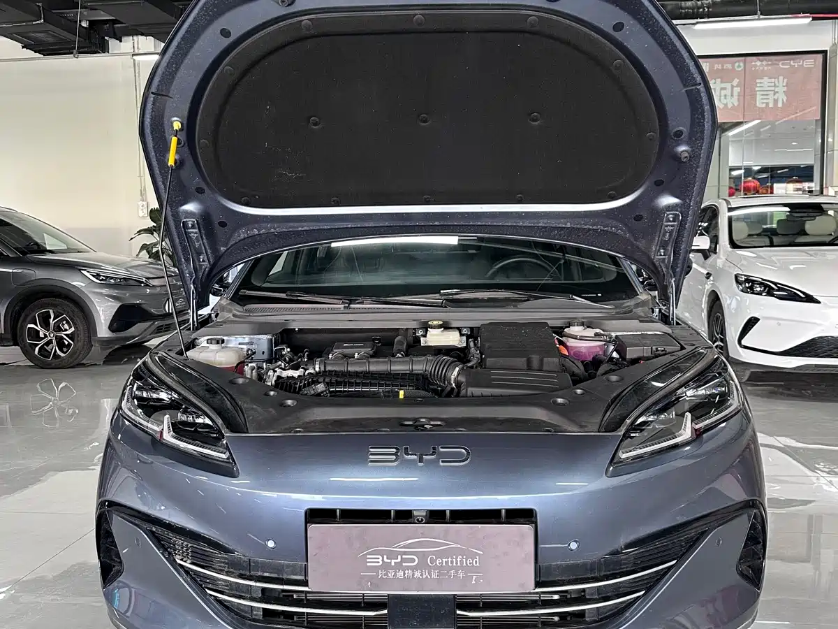 BYD Seal 06 New Energy 2025 DM-i Smart Drive Edition 120KM Luxury фото 11