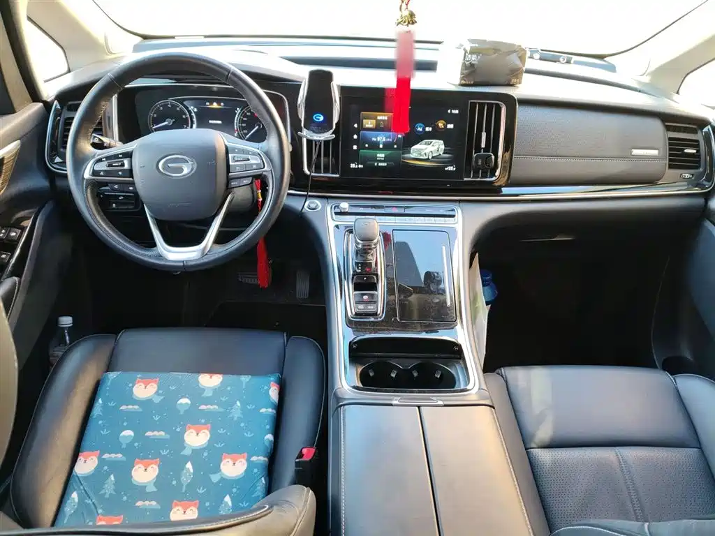 GAC Trumpchi Trumpchi M8 2023 Leading Series 390T Premium Edition фото 13