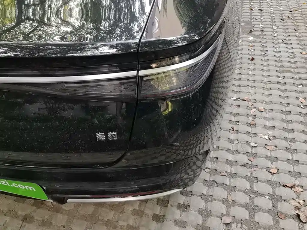 BYD Seal 2024 2023 DM-i 1.5T 121km Premium