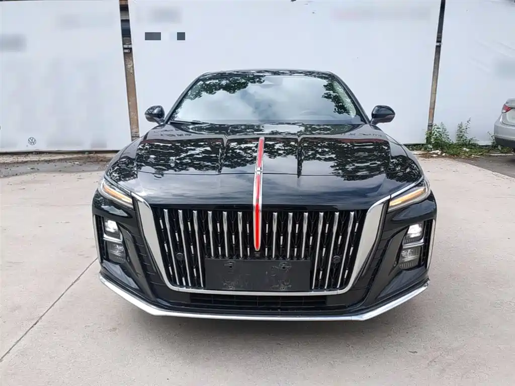 Hongqi H5 2024 2.0T Automatic Smart Connect Flag Smooth Edition фото 3