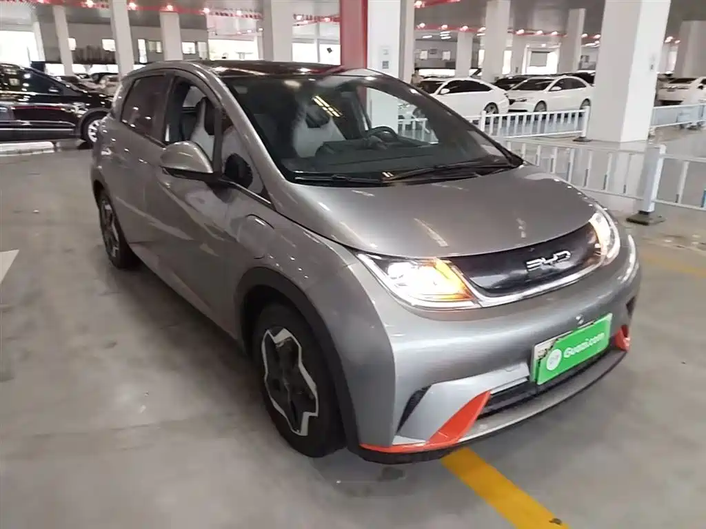 BYD Dolphin 2021 Model 405km Fashion Edition фото 4