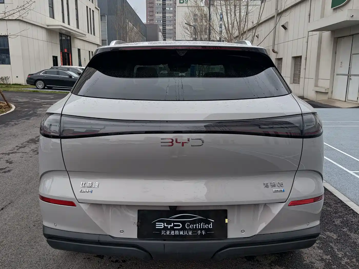 BYD SEA LION 06 NEW ENERGY