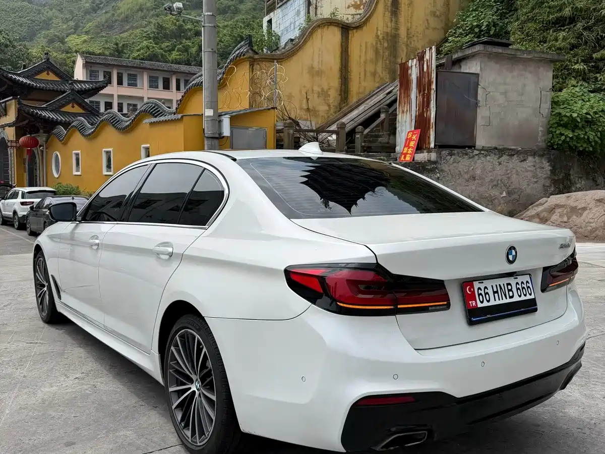 BMW 5 Series 2020 530Li Leading M Sport Package фото 8