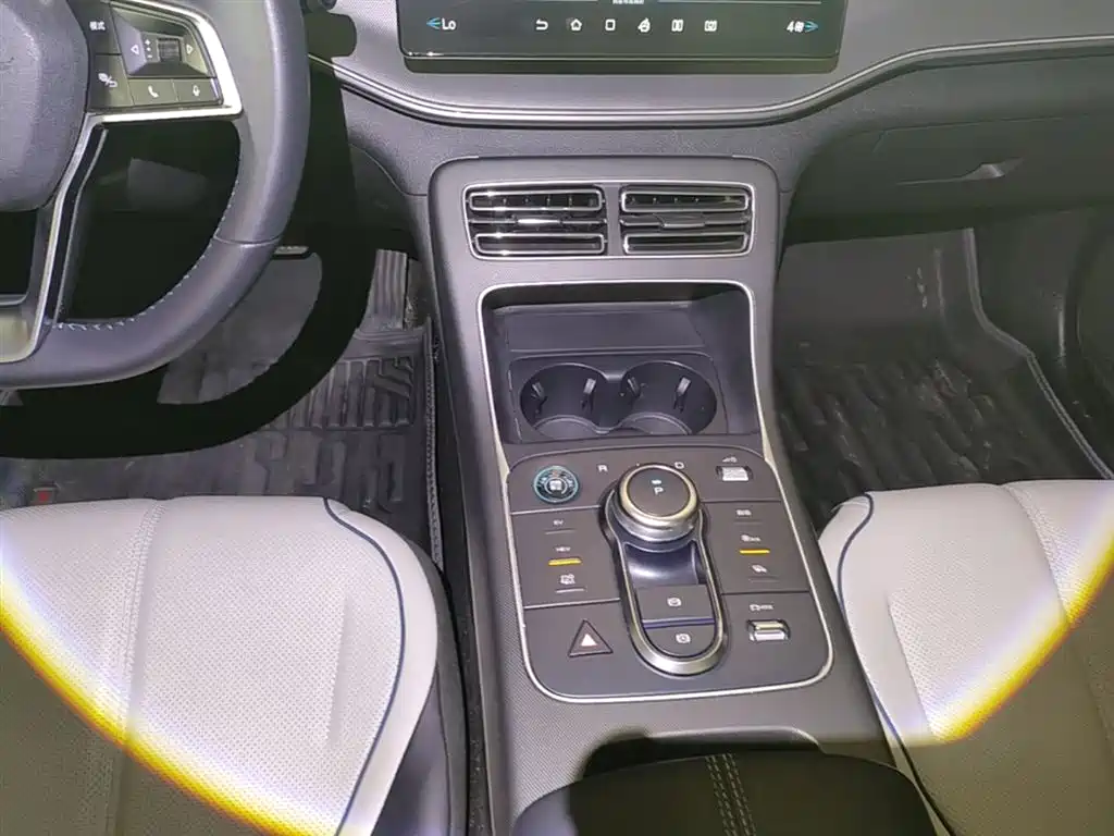 BYD Destroyer 05 2024 Glory Edition DM-i 55KM Luxury фото 14