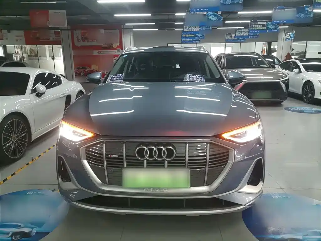 Audi e-tron 2021 50 quattro Luxury фото 3