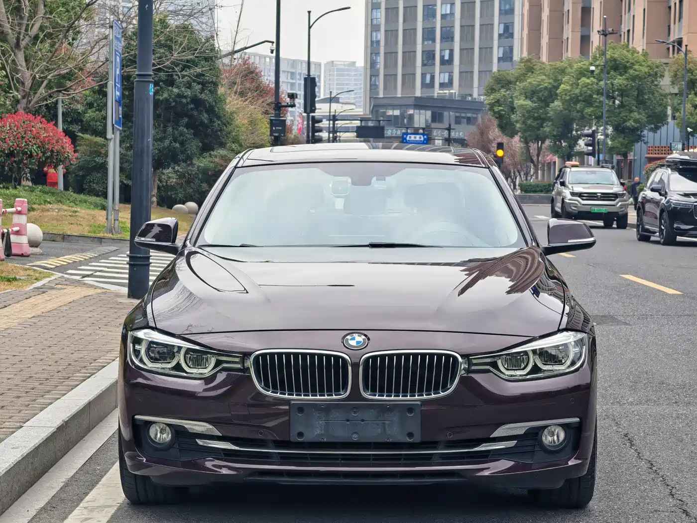 BMW 3 Series 2017 320Li Luxury Design Package фото 2