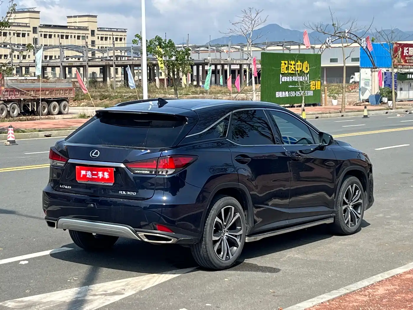Lexus RX 2020 300 4WD Elegance Edition China VI фото 9