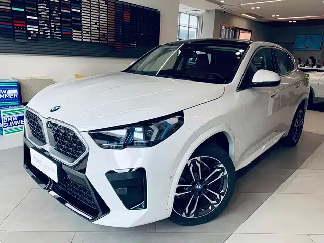 BMW X2 (Import) 2025 sDrive25i M Sport Package — фото 1