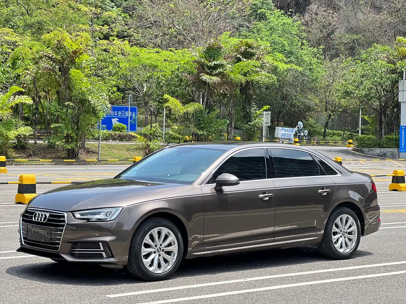 Audi A4L 2019 40 TFSI Progressive (China VI)