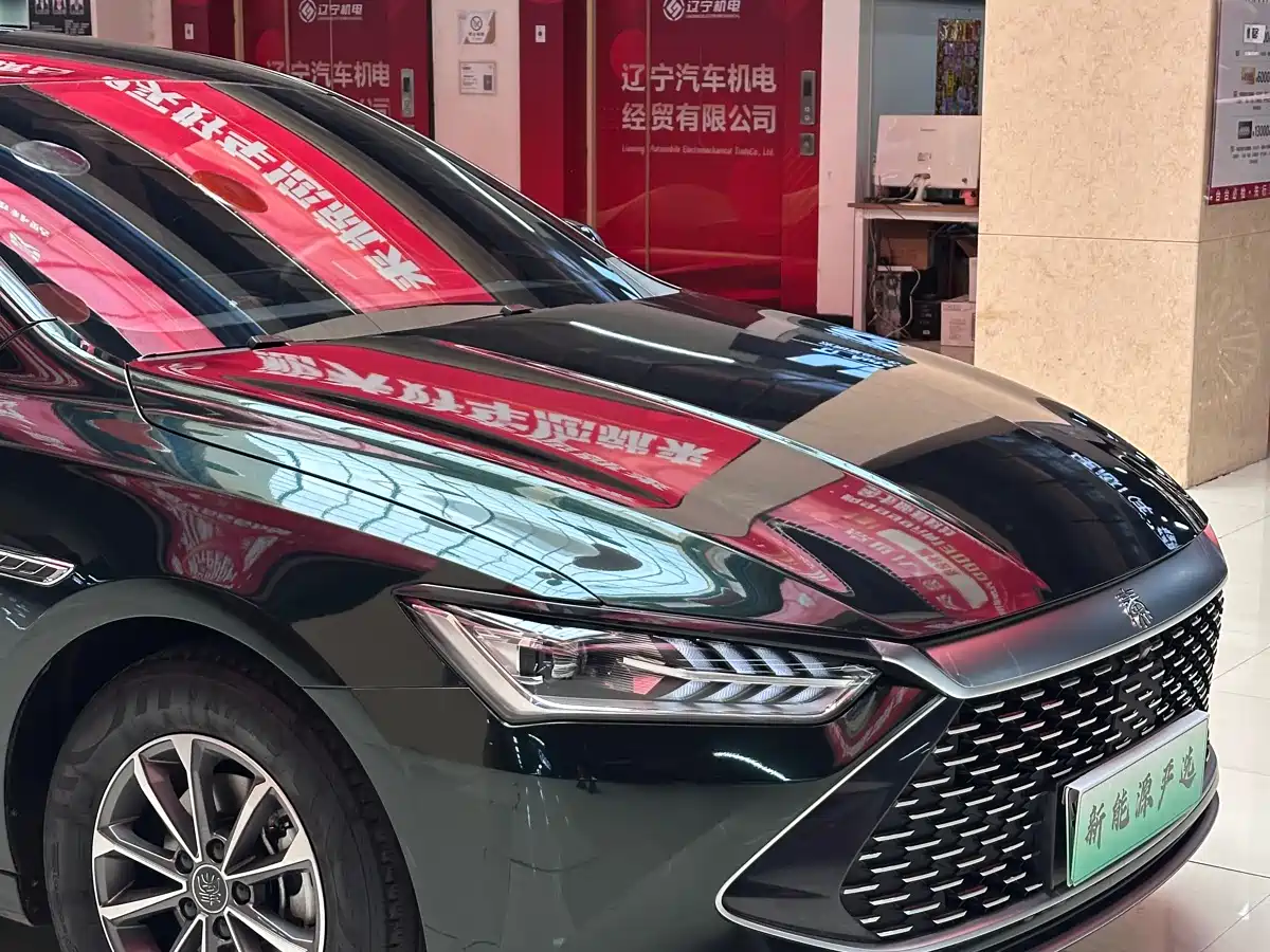 BYD Qin PLUS 2024 Glory Edition DM-i 55KM Leading фото 9