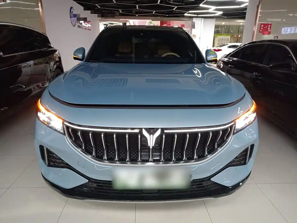 Voyah Auto VOYAH FREE 2021 AWD Standard Range Extender Exclusive Luxury Package фото 23