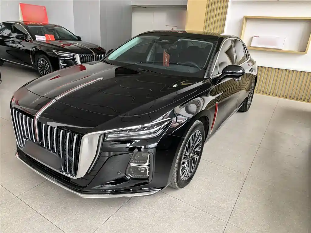 Hongqi H5 2024 2.0T Automatic Smart Connect Flag Smooth Edition фото 2